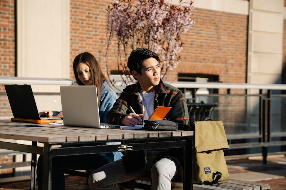 Two students studying outside on a sunny