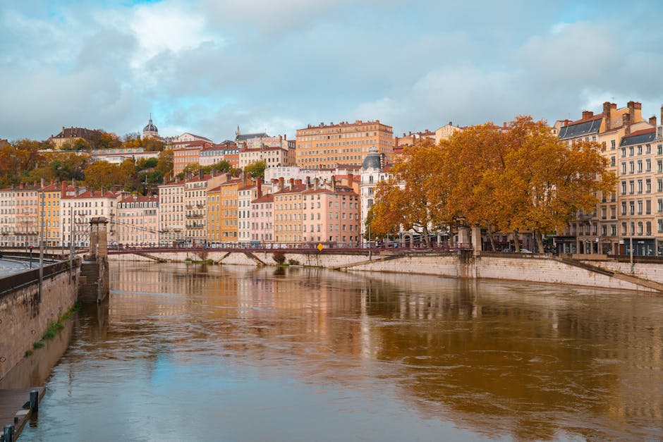 Beautiful autumn scene of the Saône Rive