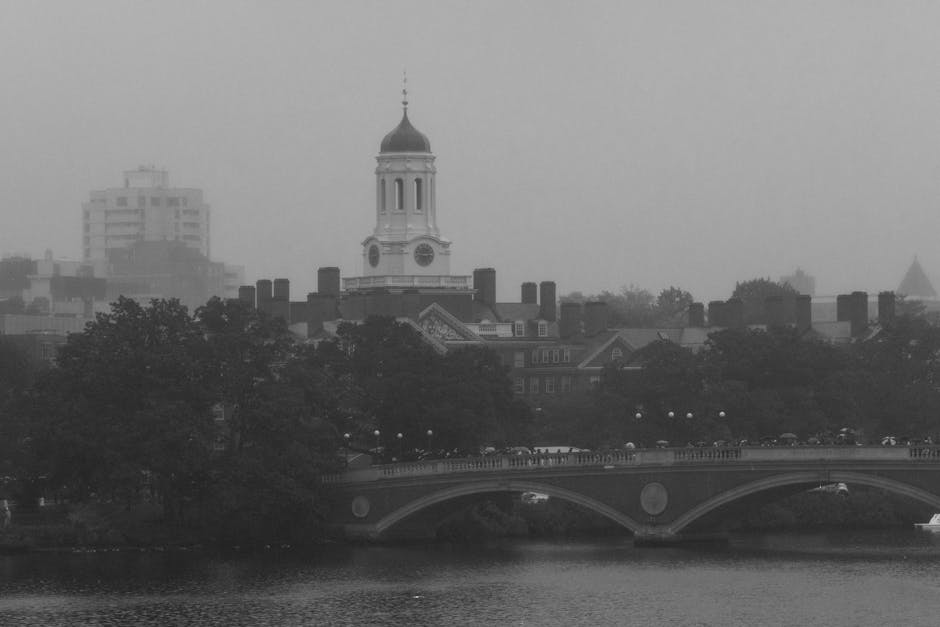 A foggy urban cityscape highlighting Har