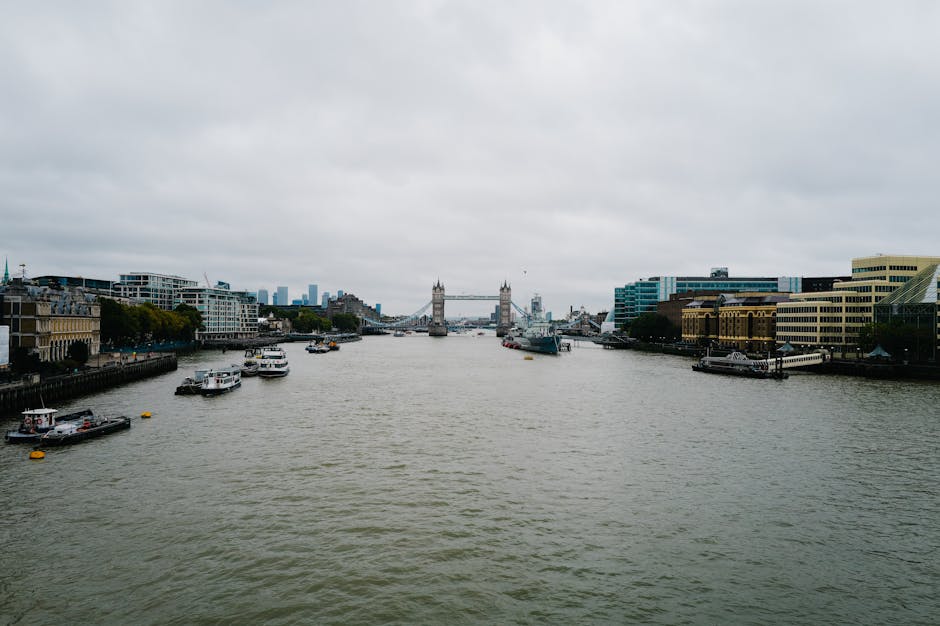 A scenic view of the River Thames and To