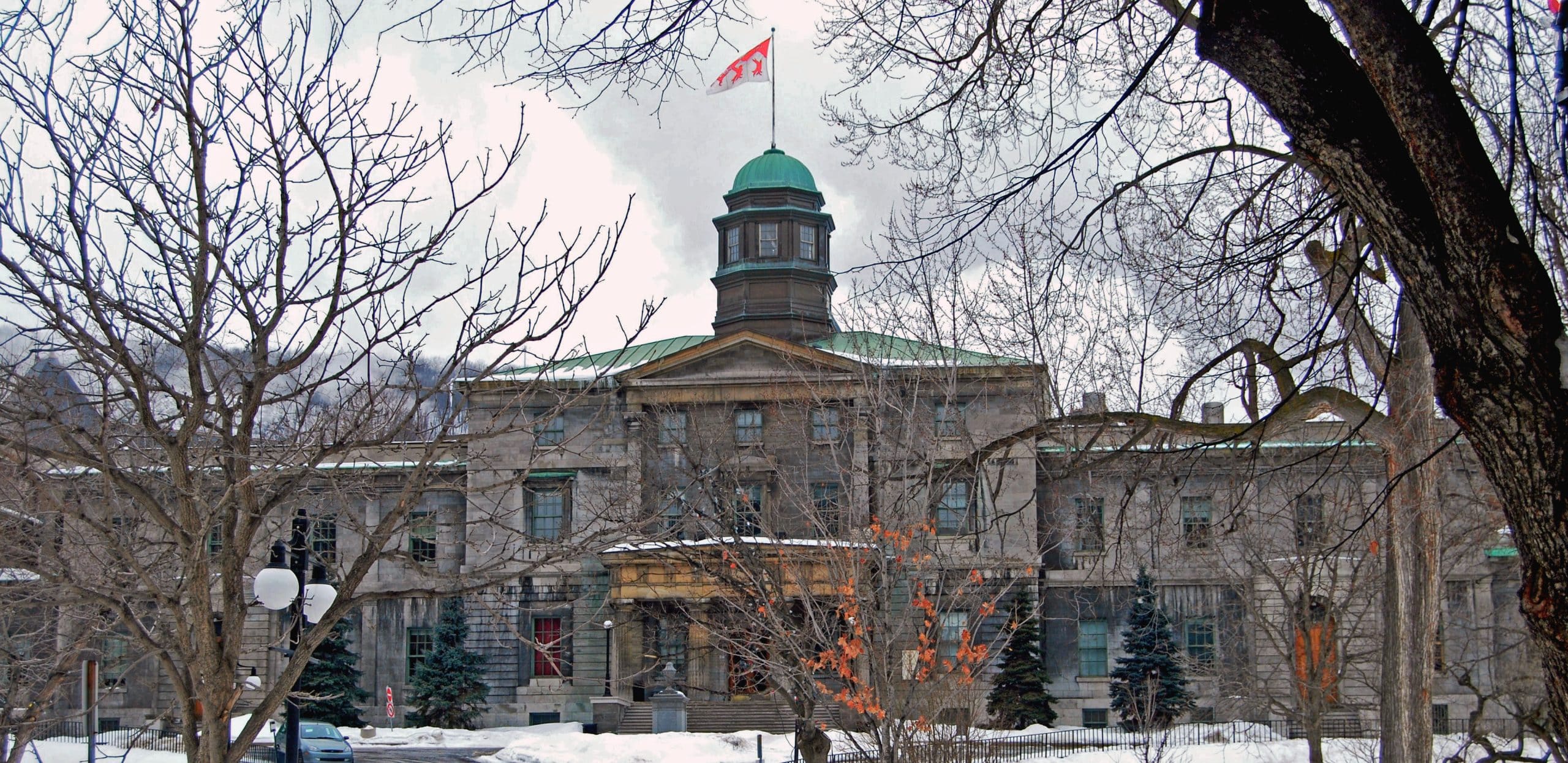 Campus de l'université McGill