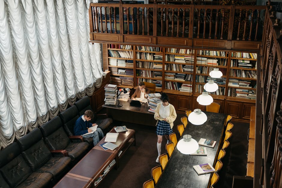 Students studying in a cozy public libra