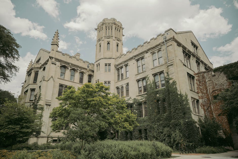 Elegant Gothic-style architecture on a s