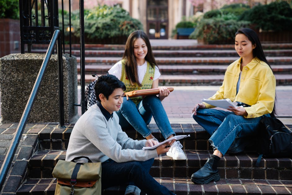 Group of students studying outdoors on c