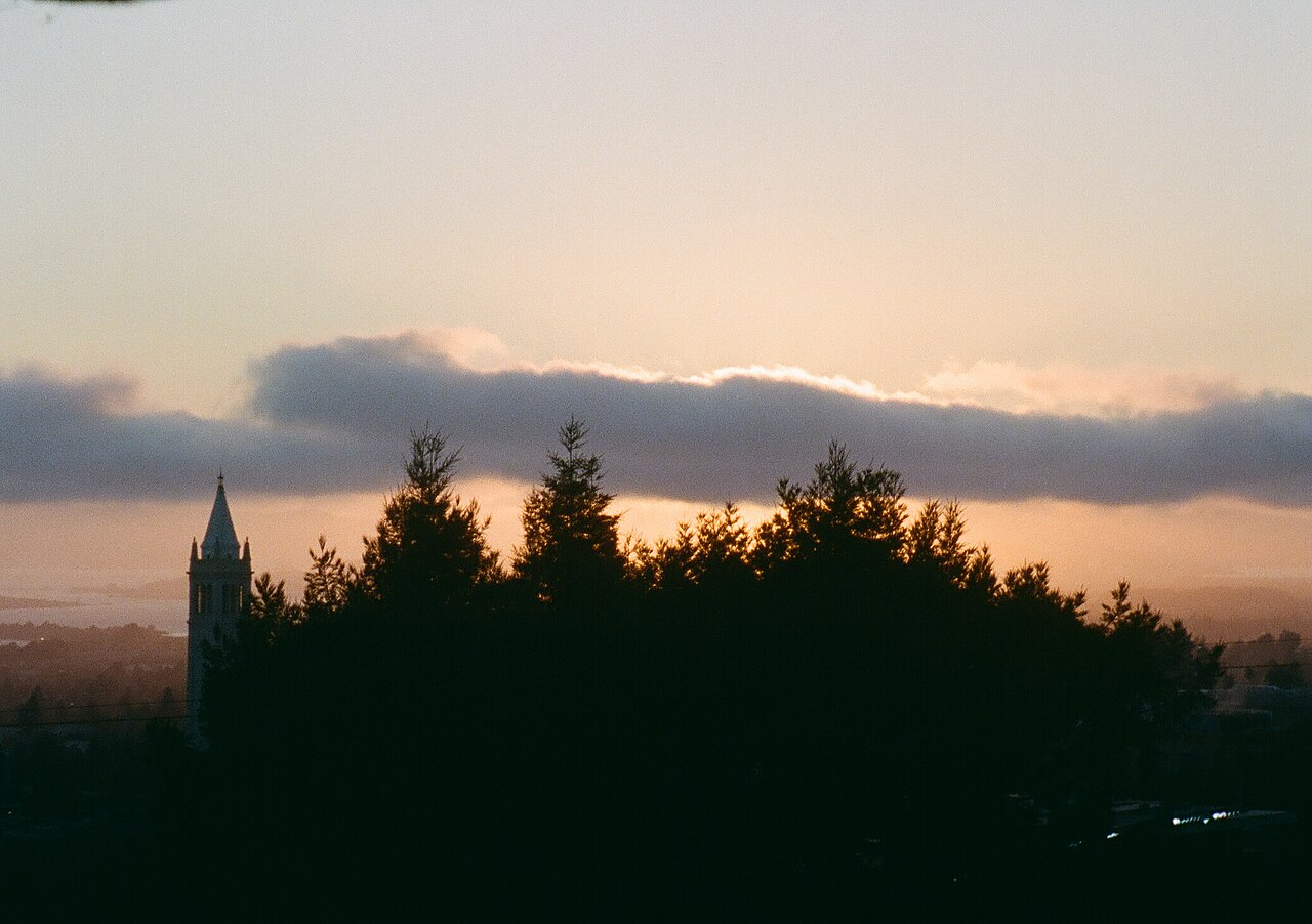 Redwood trees and Sather Tower during th